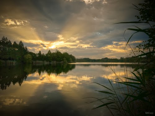 Mas de la Forêt Ródano-Alpes - Heyrieux visuel 1/1 Mas de la Forêt Ródano-Alpes - Heyrieux visuel 1/1