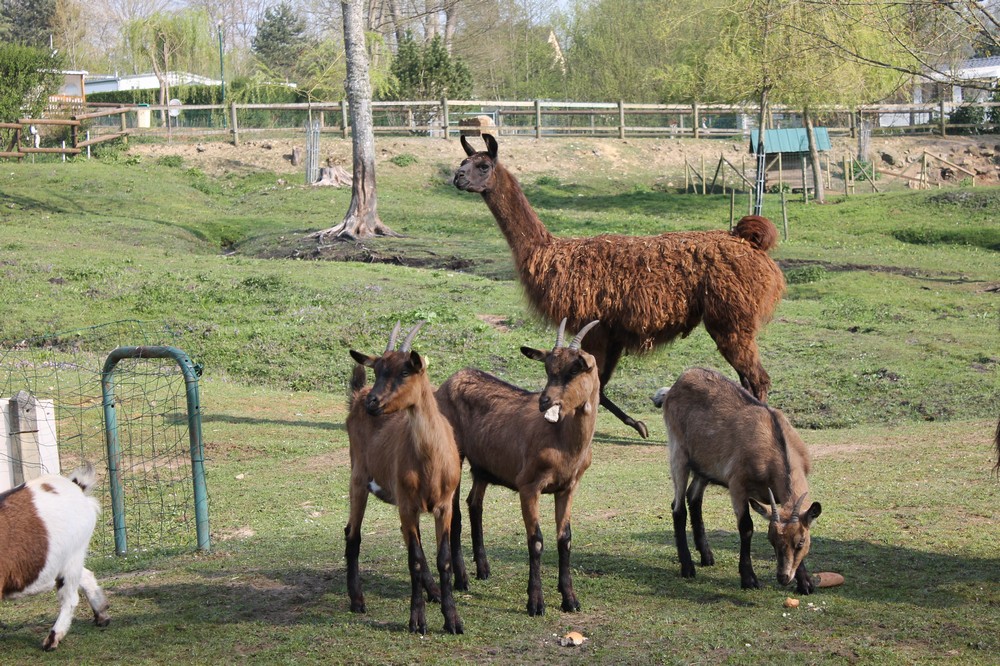 Monaco Parc Baja Normandía - Longny-au-Perche visuel 6/6 Monaco Parc Baja Normandía - Longny-au-Perche visuel 6/6