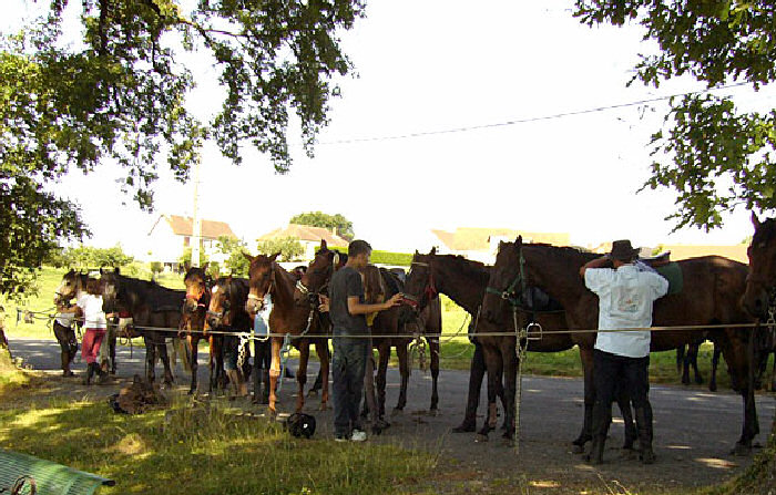 Montréal Limosín - Saint-Germain-les-Belles visuel 9/11 Montréal Limosín - Saint-Germain-les-Belles visuel 9/11