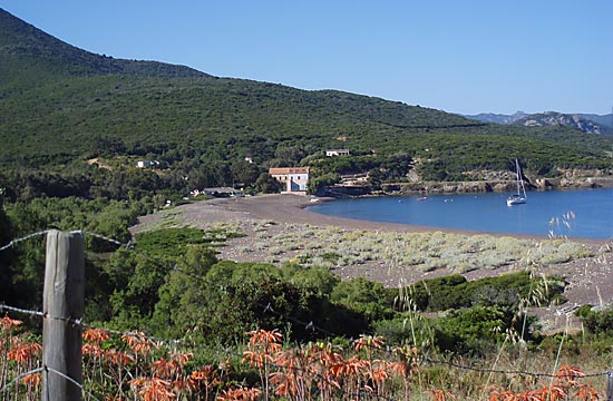 Morsetta Córcega - Calenzana visuel 5/8