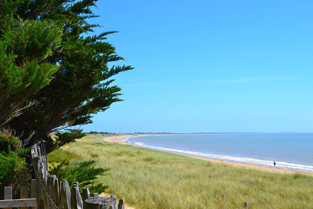 Camping Municipal de la Court Países del Loira - La Guérinière visuel 9/10 Camping Municipal de la Court Países del Loira - La Guérinière visuel 9/10