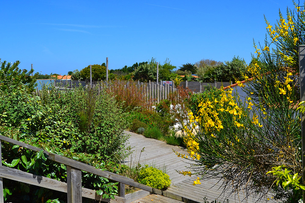 Camping Municipal de la Court Países del Loira - La Guérinière visuel 10/10 Camping Municipal de la Court Países del Loira - La Guérinière visuel 10/10