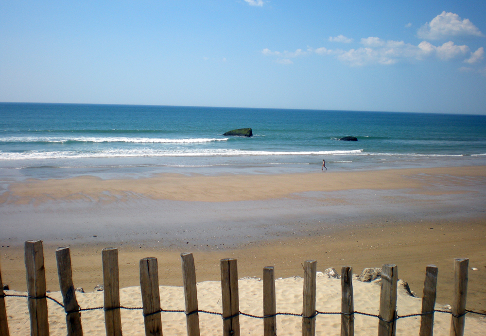 Nature et Océan Aquitania - Soulac-sur-Mer visuel 3/10