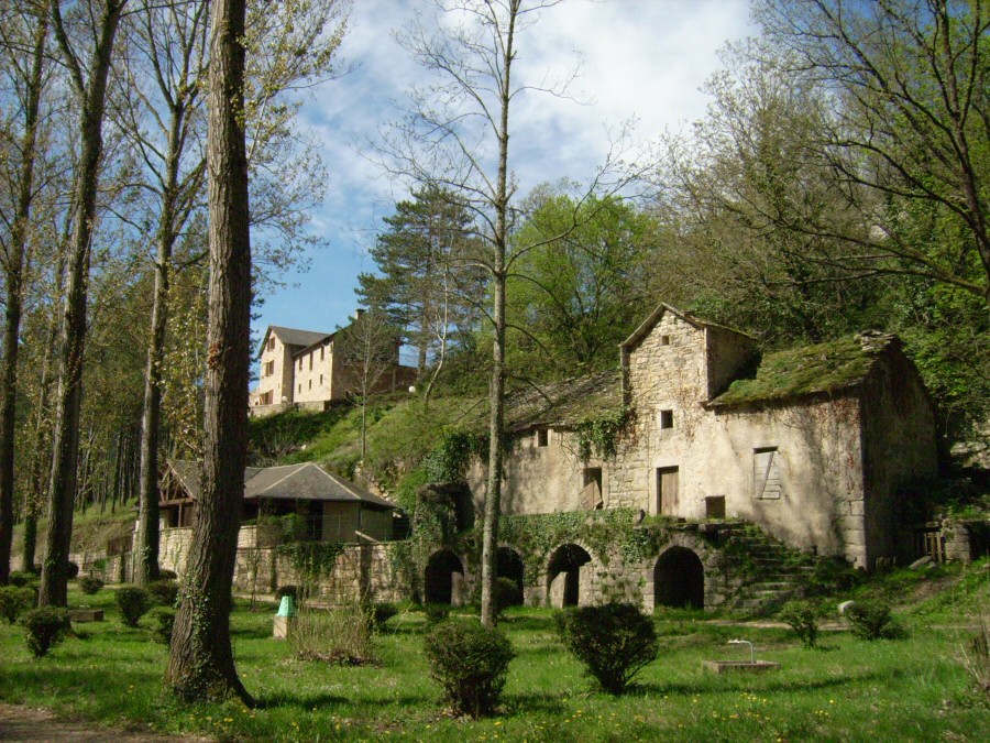 Nature et Rivière Languedoc-Rosellón - Sainte-Énimie visuel 9/11 Nature et Rivière Languedoc-Rosellón - Sainte-Énimie visuel 9/11