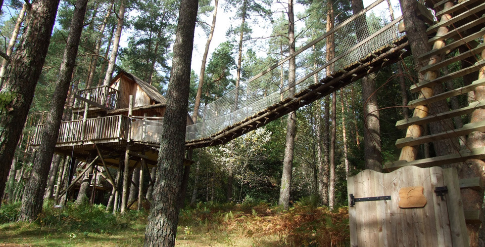 Nids des Vosges Lorena - Champdray visuel 9/10