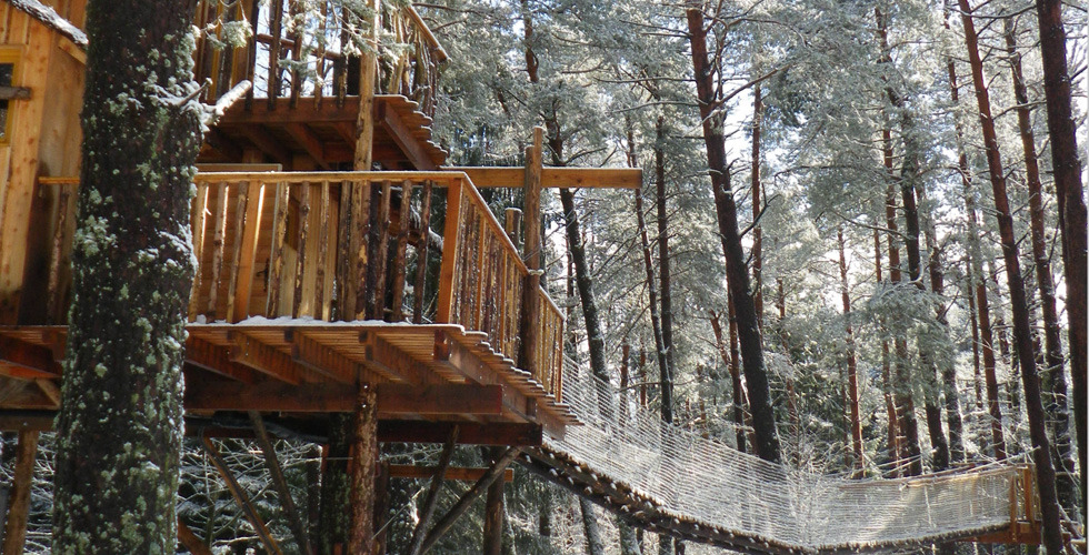 Nids des Vosges Lorena - Champdray visuel 1/10