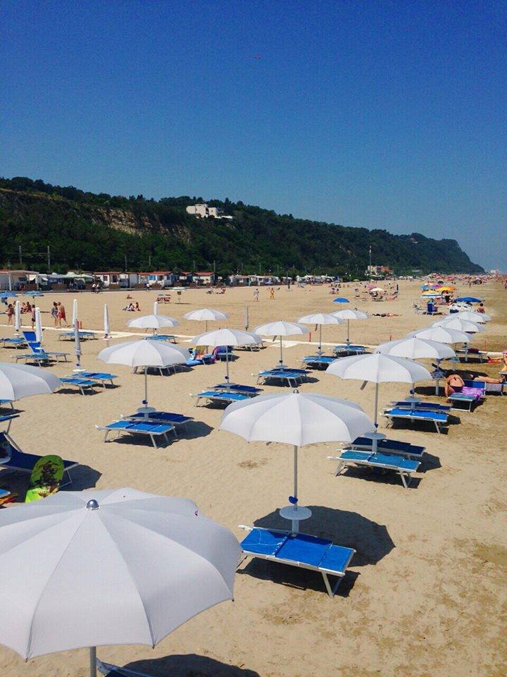 Norina Marcas - Pesaro visuel 6/6