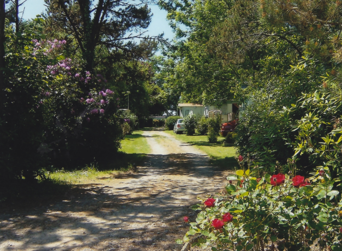 Odet Village Bretaña - Gouesnach visuel 4/7