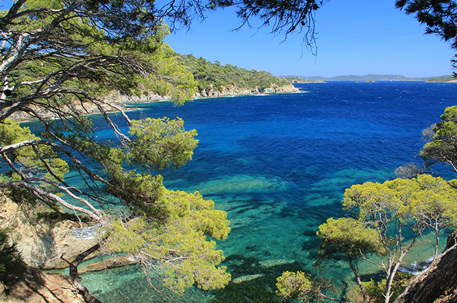 Olbia Provenza-Alpes-Costa Azul - Hyères visuel 2/10 Olbia Provenza-Alpes-Costa Azul - Hyères visuel 2/10