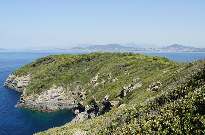 Olbia Provenza-Alpes-Costa Azul - Hyères visuel 8/10 Olbia Provenza-Alpes-Costa Azul - Hyères visuel 8/10