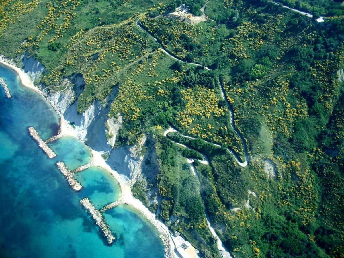 Paradiso Marcas - Pesaro visuel 2/8