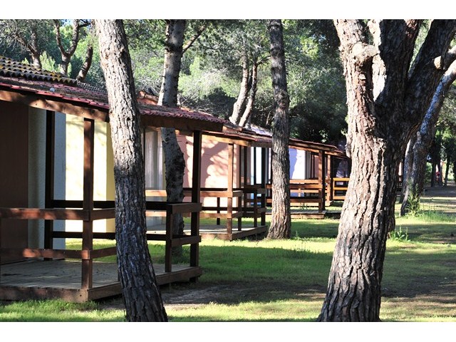 Parc Résidentiel Bellevue Languedoc-Rosellón - Valras-Plage visuel 12/12