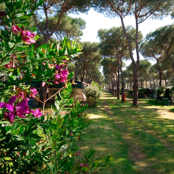 Parco della Gallinara Lacio - Anzio visuel 5/11