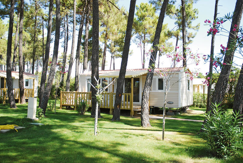 Perla di Mare Córcega - Ghisonaccia visuel 5/7