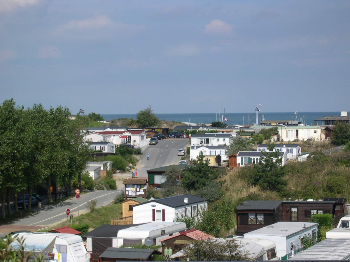 Perroquet Norte-Paso de Calais - Bray-Dunes visuel 1/1 Perroquet Norte-Paso de Calais - Bray-Dunes visuel 1/1