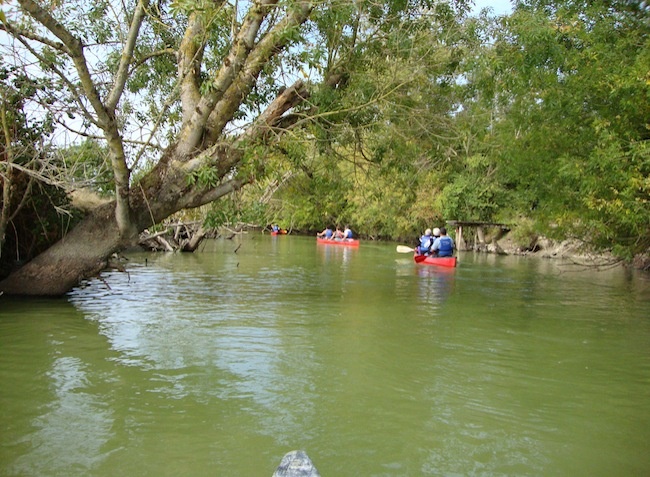 Plein Sud Países del Loira - Saint-Jean-de-Monts visuel 4/11 Plein Sud Países del Loira - Saint-Jean-de-Monts visuel 4/11