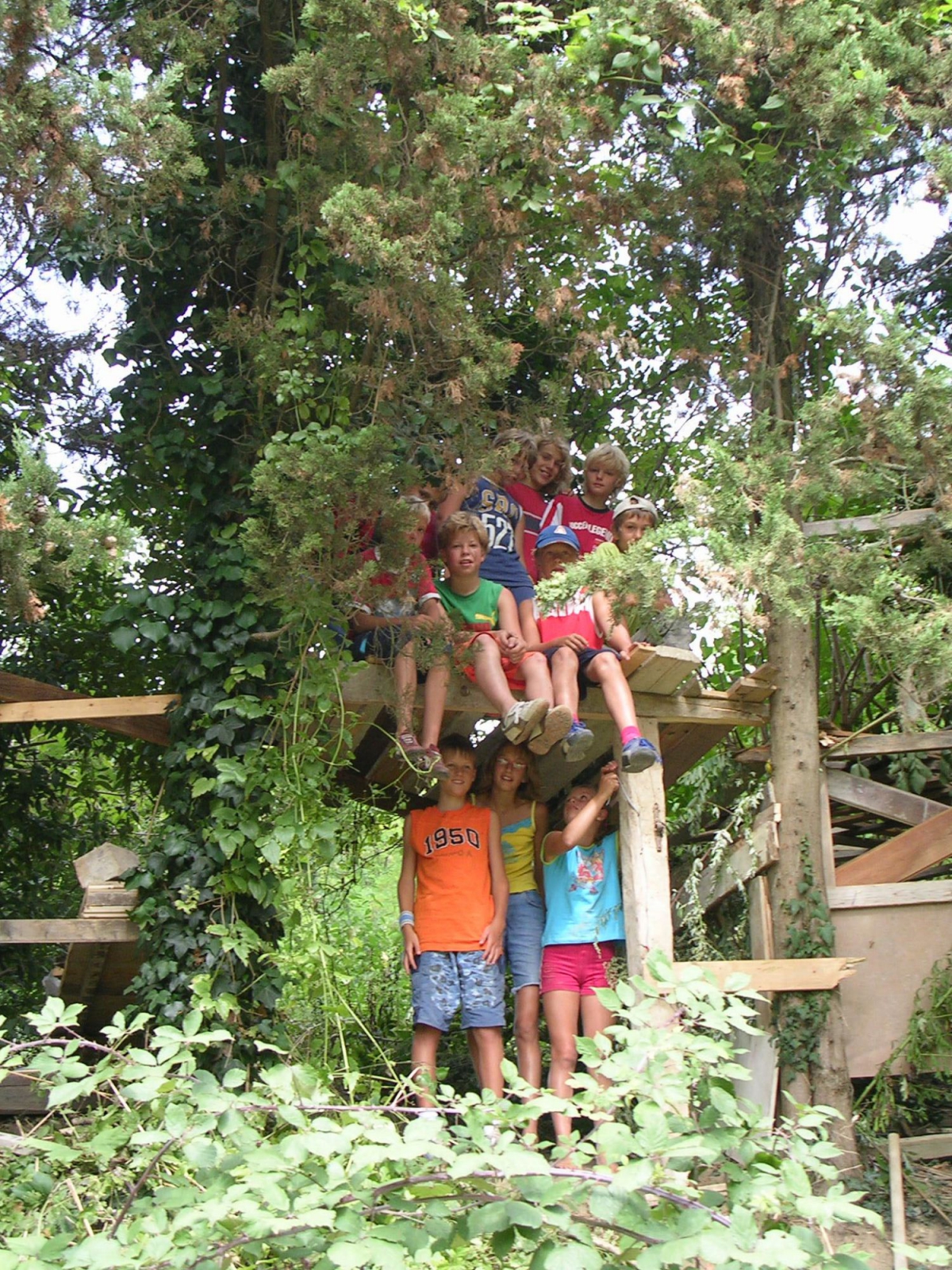 Podere Sei Poorte Marcas - Senigallia visuel 4/10