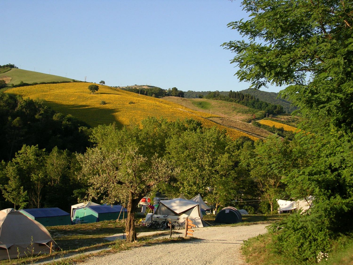 Podere Sei Poorte Marcas - Senigallia visuel 9/10