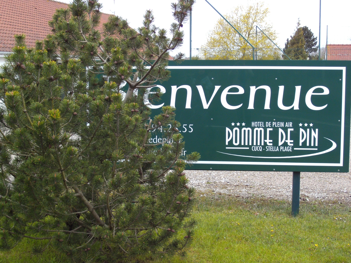 Pomme De Pin Norte-Paso de Calais - Cucq visuel 1/1 Pomme De Pin Norte-Paso de Calais - Cucq visuel 1/1