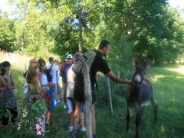 Pont de Braye Languedoc-Rosellón - Chastanier visuel 3/11 Pont de Braye Languedoc-Rosellón - Chastanier visuel 3/11