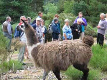 Pont de Braye Languedoc-Rosellón - Chastanier visuel 9/11 Pont de Braye Languedoc-Rosellón - Chastanier visuel 9/11