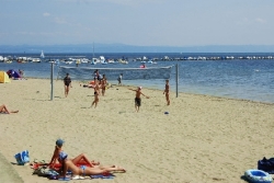 Punta Spin Véneto - Grado visuel 4/8 Punta Spin Véneto - Grado visuel 4/8