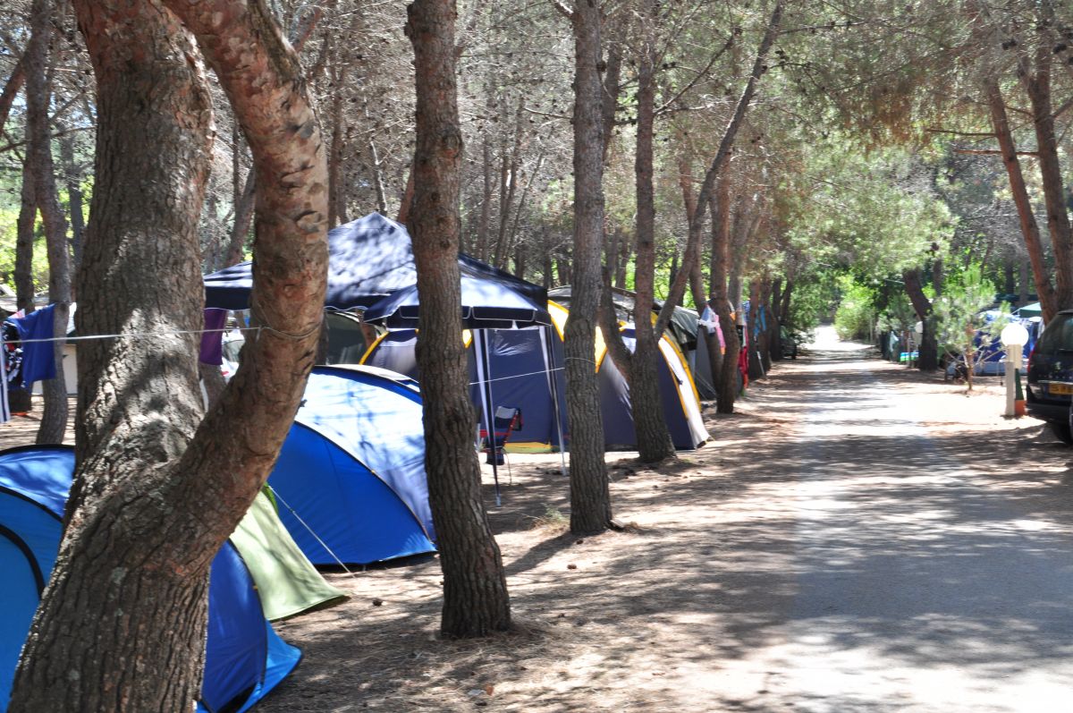 Ras L'Bol Córcega - Olmeto visuel 3/6 Ras L'Bol Córcega - Olmeto visuel 3/6