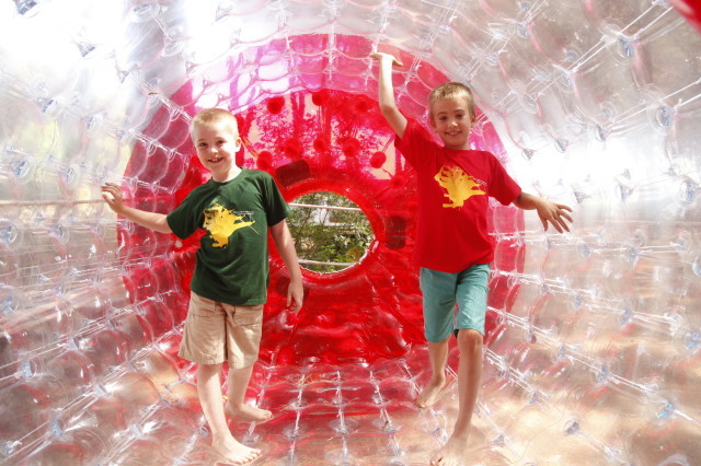 Riva dei Tarquini Toscana - Tarquinia visuel 8/10 Riva dei Tarquini Toscana - Tarquinia visuel 8/10