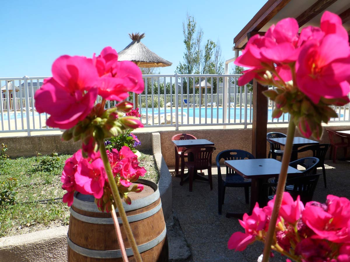 Rives des Corbières Languedoc-Rosellón - Leucate visuel 3/8 Rives des Corbières Languedoc-Rosellón - Leucate visuel 3/8