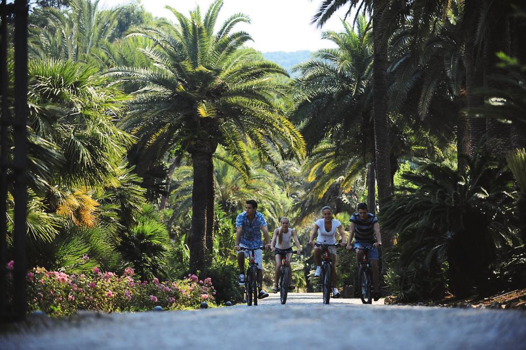 Rosselba le Palme Toscana - Portoferraio visuel 5/18 Rosselba le Palme Toscana - Portoferraio visuel 5/18