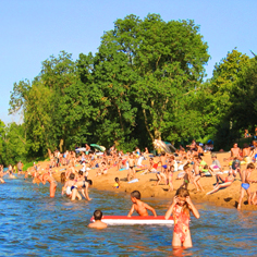 Les Plages de Loire Países del Loira - Rochefort-sur-Loire visuel 1/11 Les Plages de Loire Países del Loira - Rochefort-sur-Loire visuel 1/11