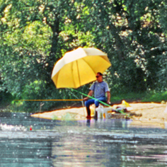 Les Plages de Loire Países del Loira - Rochefort-sur-Loire visuel 3/11 Les Plages de Loire Países del Loira - Rochefort-sur-Loire visuel 3/11