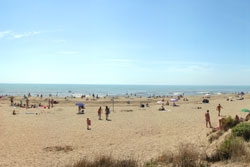 Serignan Plage Nature Domaine Naturiste - Languedoc-Rosellón - Sérignan visuel 3/4 Serignan Plage Nature Domaine Naturiste - Languedoc-Rosellón - Sérignan visuel 3/4