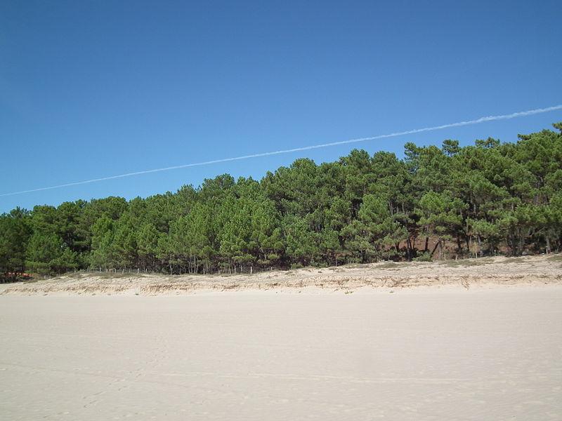 Soleil Levant Poitou-Charentes - Meschers-sur-Gironde visuel 9/9 Soleil Levant Poitou-Charentes - Meschers-sur-Gironde visuel 9/9