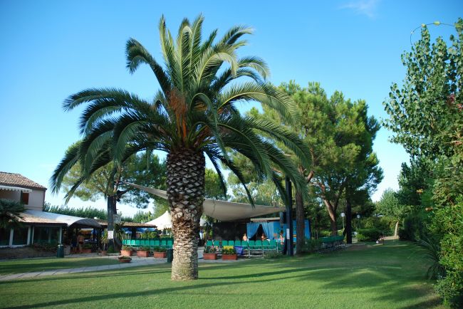 Spinnaker Marcas - Fermo visuel 2/11