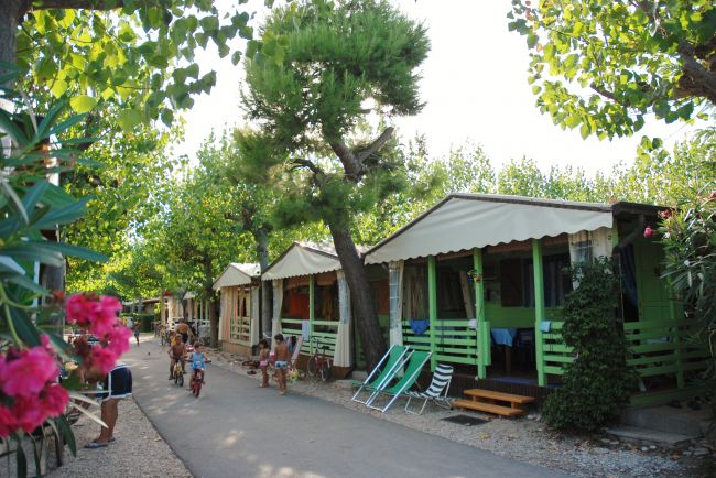 Spinnaker Marcas - Fermo visuel 9/11