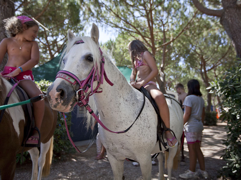 Stella del Mare Toscana - Castiglione della Pescaia visuel 8/11 Stella del Mare Toscana - Castiglione della Pescaia visuel 8/11