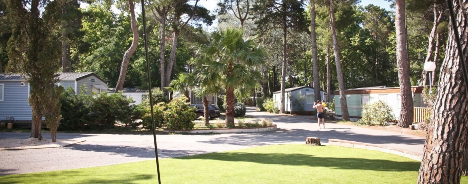 Taxo Les Pins Languedoc-Rosellón - Argelès-sur-Mer visuel 14/17