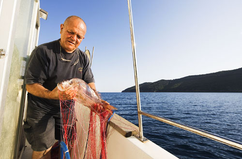 Tenuta delle Ripalte Toscana - Capoliveri visuel 9/9 Tenuta delle Ripalte Toscana - Capoliveri visuel 9/9