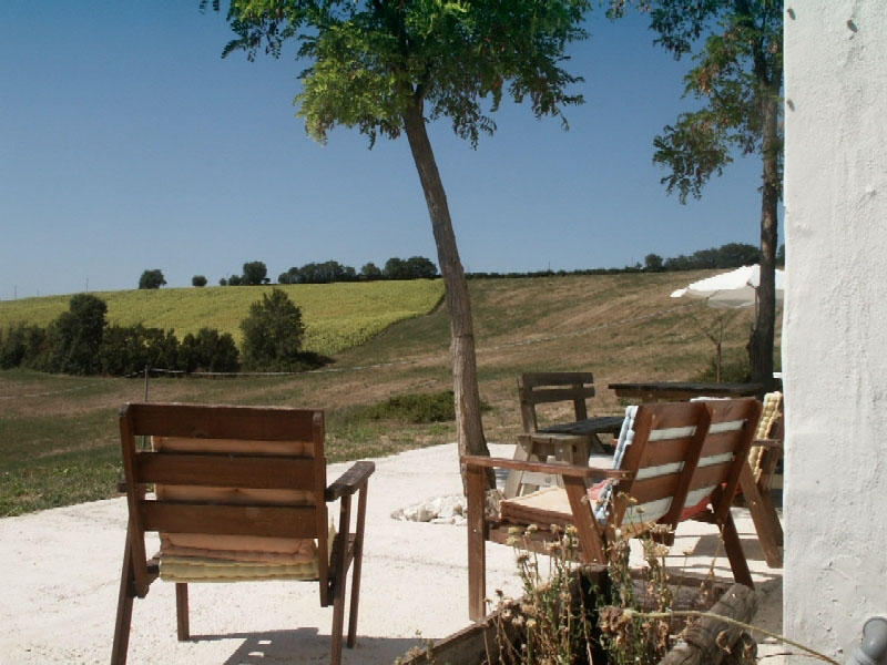 Tenuta Tredici Olivi Marcas - Senigallia visuel 4/5