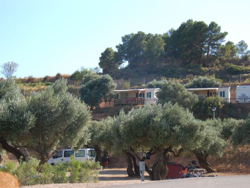 Terra Alta Costa Dorada - Bot visuel 6/9