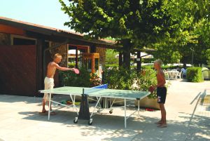 Tiglio Lombardía - Sirmione visuel 5/10 Tiglio Lombardía - Sirmione visuel 5/10