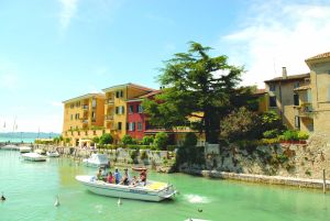 Tiglio Lombardía - Sirmione visuel 10/10 Tiglio Lombardía - Sirmione visuel 10/10