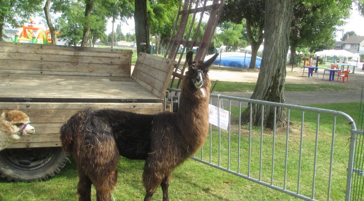 Touristique de Gien centro valle - Gien visuel 7/9 Touristique de Gien centro valle - Gien visuel 7/9
