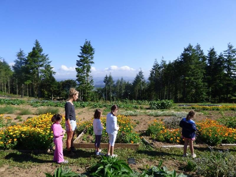 Ty Provost Bretaña - Dinéault visuel 4/7 Ty Provost Bretaña - Dinéault visuel 4/7