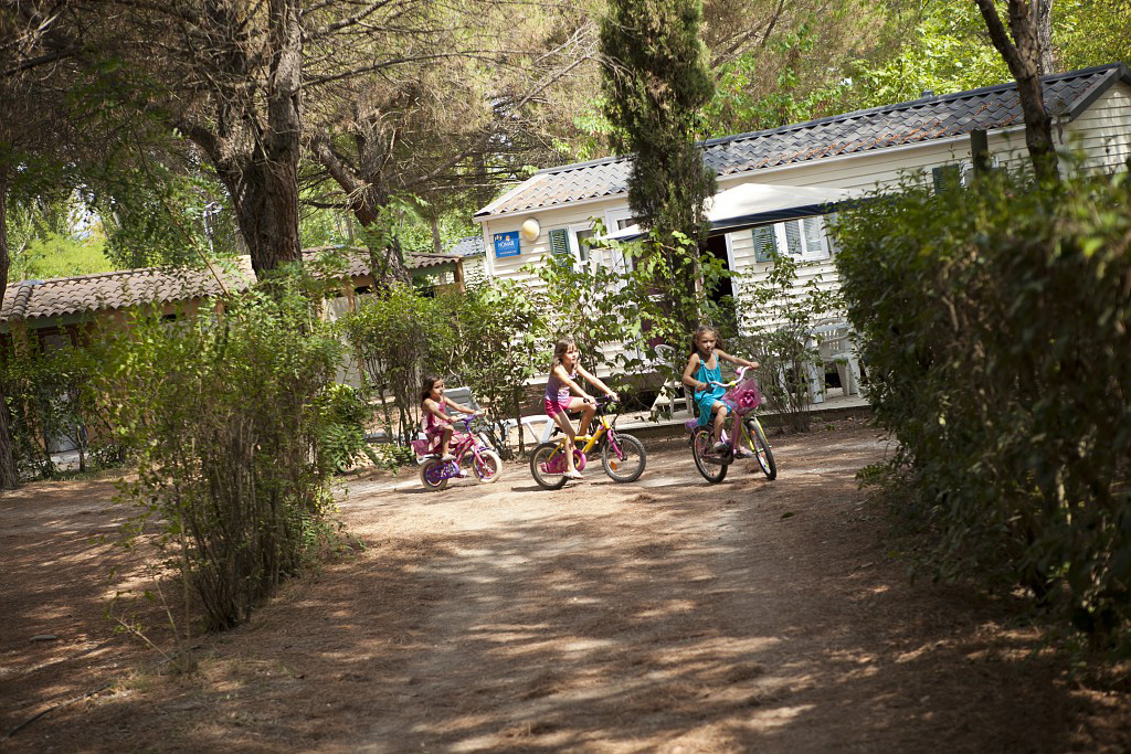 Val de Durance Provenza-Alpes-Costa Azul - Cadenet visuel 12/18 Val de Durance Provenza-Alpes-Costa Azul - Cadenet visuel 12/18