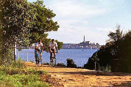 Valdaliso Istria - Rovinj visuel 8/9