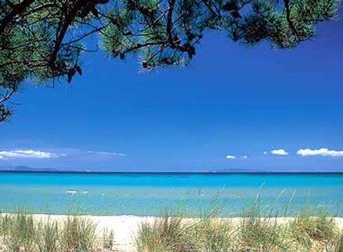 Vallicella Toscana - Scarlino visuel 9/10 Vallicella Toscana - Scarlino visuel 9/10