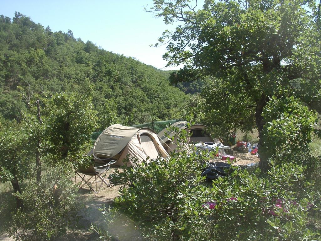 Valsaintes Provenza-Alpes-Costa Azul - Simiane-la-Rotonde visuel 4/10