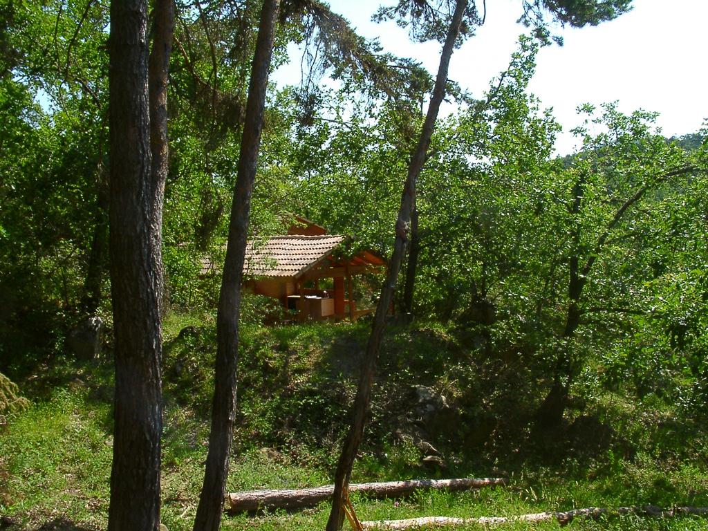 Valsaintes Provenza-Alpes-Costa Azul - Simiane-la-Rotonde visuel 8/10